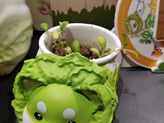 -酷乐潮玩(颛桥万达店)