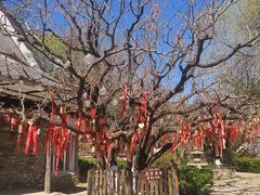 -天毓山庄·餐厅