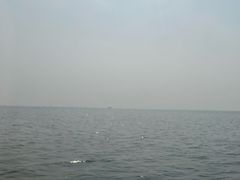 -苏州太湖湖滨国家湿地公园