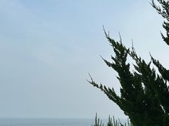 -燕儿岛山公园