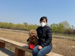 -绿堤公园