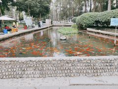-成都杜甫草堂博物馆