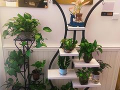 -宫七SPA·高端Massage(浦东大道店)