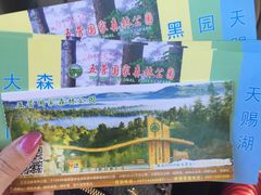 -五营红松林海景区