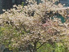 -精德口腔·种植修复·儿牙中心(财富中心店)