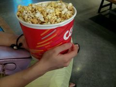 -CGV影城(金银潭激光IMAX店)