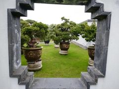 -扬州大运河文化旅游度假区·盆景园