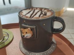 巧克力-柴务处·柴犬主题狗咖