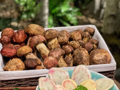 -蘑界·野生菌火锅(深业上城店)