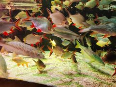 -太平洋海底世界