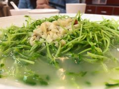 上汤豆苗-轩记海鲜餐厅·四十五年老字号·经典粤菜(西区彩虹店)