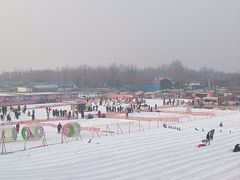 -青龙湖公园