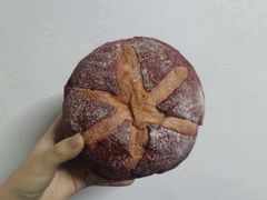 -Juicy Bakery(大学路店)