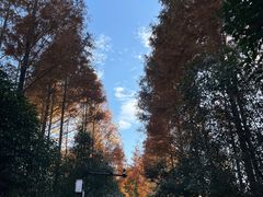 -西溪国家湿地公园