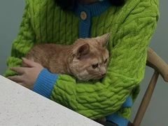 -嘉馨宠物医院·CT影像转诊·心脏科·犬猫全科诊疗中心(下沙大学城院区)