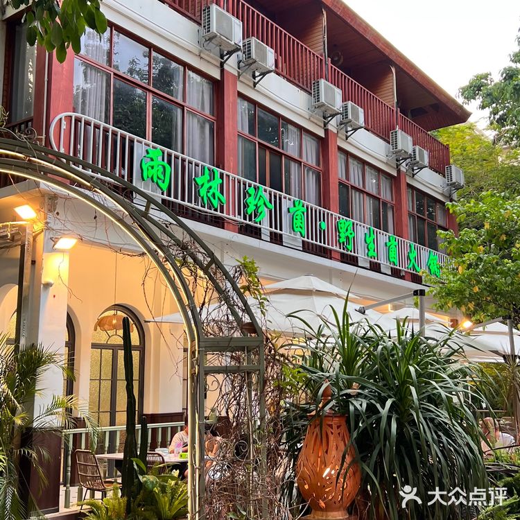 西双版纳｜不吃🍄蘑菇可算白来西双版纳了