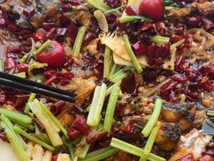 -老板恋上鱼(恒隆广场店)