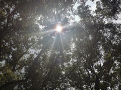 -共青国家森林公园-售票处