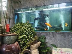 -又见炊烟私房菜(敬亭路店)