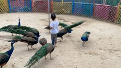 -萌宠亲子动物乐园(槐房万达店)