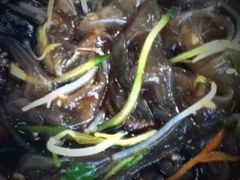 东北大拉皮-雪乡人家东北菜·铁锅炖一切(高斯路店)