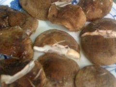 烤香茹-大槐树烤肉馆