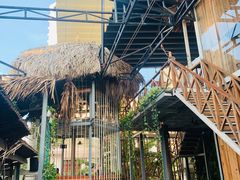 -Rainforest