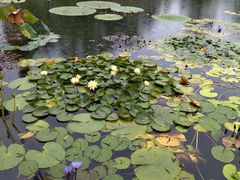 -国家植物园南园