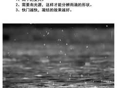 -CGWANG王氏教育(上海校区)