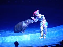 -珠海横琴长隆《卡卡虎奇遇记》