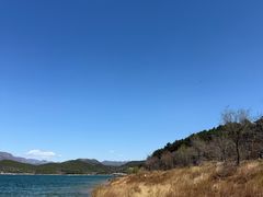 -大鸭梨烤鸭(顺义石园店)