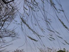-武昌江滩