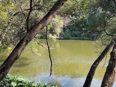 -深圳仙湖植物园