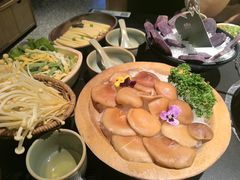 -季季山·云南野生菌火锅(上海首店)