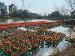 -苏州太湖国家湿地公园
