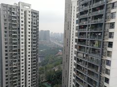 -重庆彩云湖湿地公园