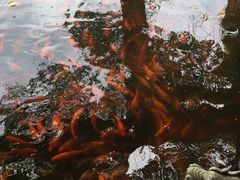 -华雅花园大酒店