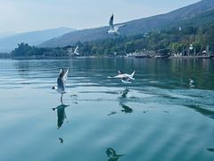 -西昌邛海湿地