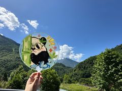 -卧龙中华大熊猫苑神树坪基地
