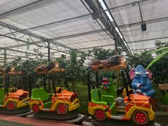 -南宫五洲植物乐园