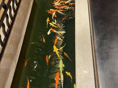 -龙悦湾酒家·八阵鱼生·渔人码头店