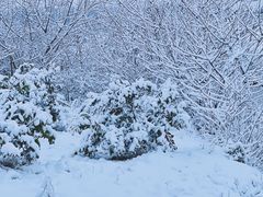 -武汉紫薇都市田园