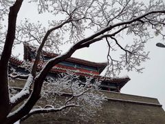 -卢沟桥文化旅游区