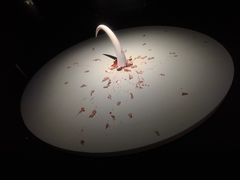 -上海当代艺术博物馆