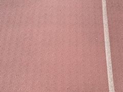 -天津大学附属中学