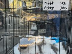 -大芬美术馆