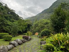 -雁南飞茶田景区