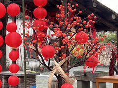 -同里国家湿地公园
