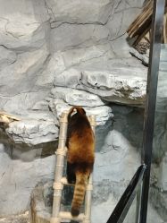 -Zoolung Zoolung动物主题公园(海信广场店)