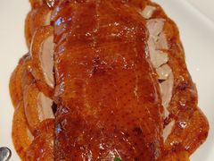 -梧桐北京烤鸭·铜锅涮肉(海岸城店)